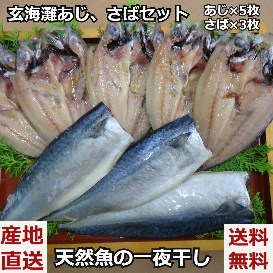 ＼父の日／玄海灘あじ さばセット 一夜干し あじ 5枚 さば 3枚 干物セット 干物 塩辛 贈答 国産 九州産 長崎産 BBQ ギフト 産直 産地直送 送料無料 内祝い