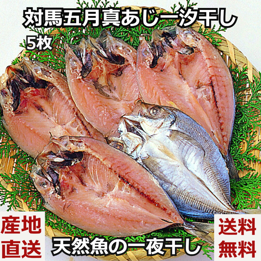＼お中元／対馬五月真あじ一汐干し 5枚 一夜干し あじ 干物セット 干物 贈答 国産 九州産 長崎産 BBQ ギフト 産直 産地直送 送料無料 内祝いのサムネイル