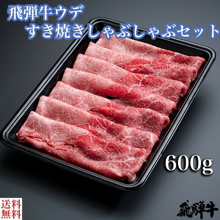 飛騨牛 ＼父の日／飛騨牛ウデ すき焼き・しゃぶしゃぶセット（ウデスライス肉600g） 4等級 5等級 和牛 国産牛 ギフト贈答 BBQ バーベキュー クール冷凍便 産地直送 送料無料 内祝い