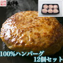 ＼母の日／飛騨牛 100%ハンバーグ 12個セット（ハンバーグ120g×12） 4等級 5等級 和牛 国産牛 ギフト贈答 BBQ バーベキュー クール冷凍..