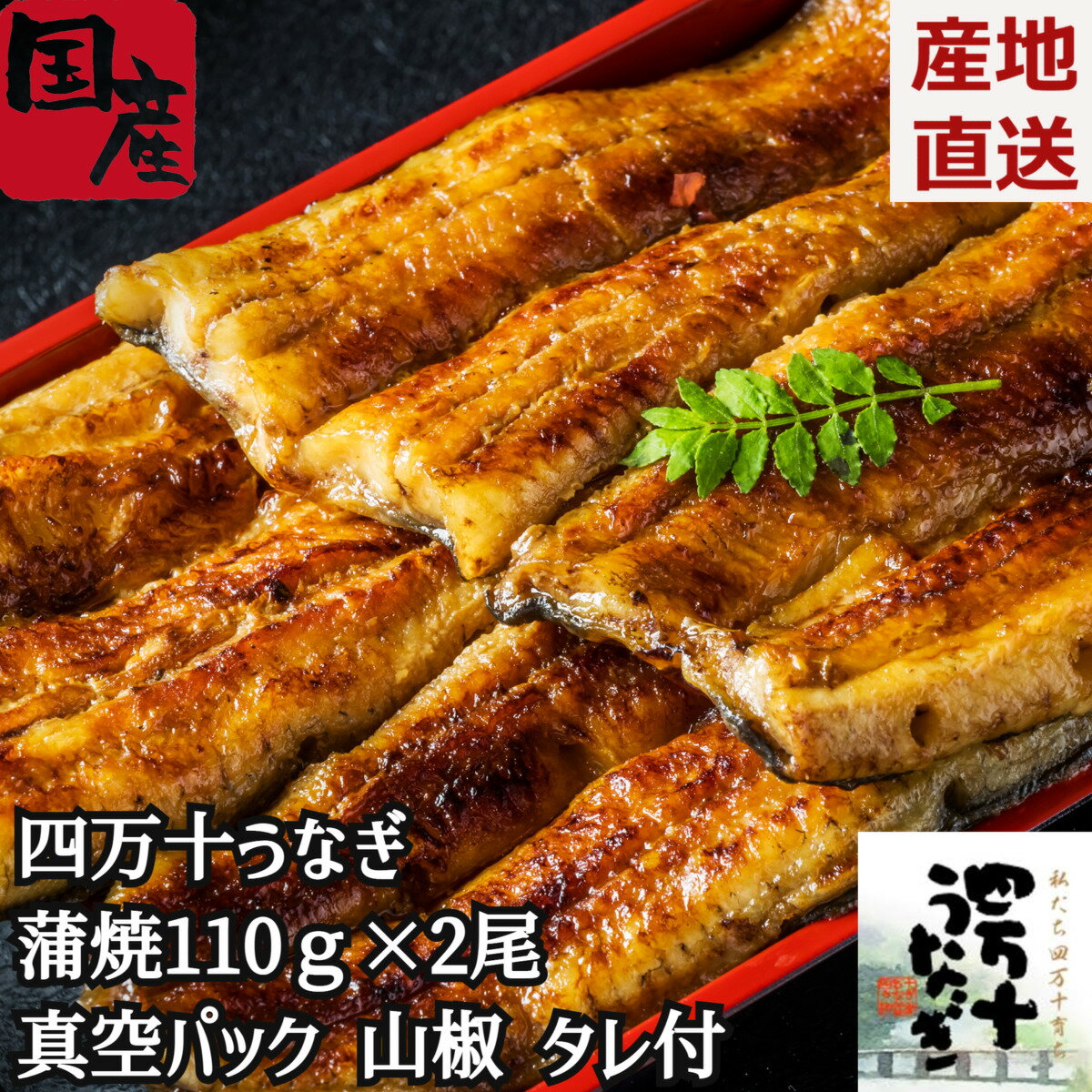 蒲焼き ＼父の日／四万十うなぎ 蒲焼110g 2尾セット うなぎ蒲焼き2本 うなぎ 国産 2尾 鰻 蒲焼き 尾頭付き 真空パック ギフト お返し 贈答 贈り物 化粧箱 のし 高知県産 真空パック クール便 熨斗 箱入り ウナギ 山椒付き タレ付き 産地直送 土用の丑 内祝い