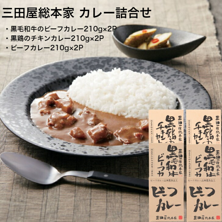 楽天市場】三田屋総本家カレーの通販