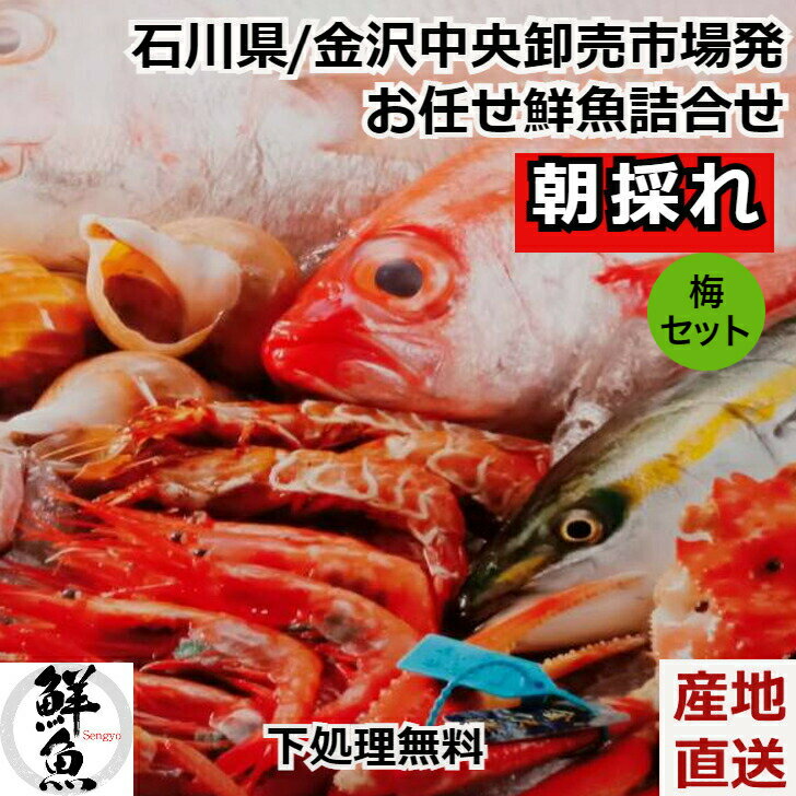 鮮魚ボックス 【朝採れ 鮮魚 新鮮地魚 詰合せセット 梅セット 金沢中央卸売市場発】鮮魚BOX 新鮮 下処理加工付 送料無料 クール便 お取り寄せ 産地直送 内祝いのサムネイル