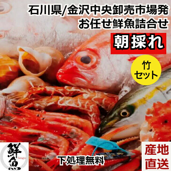 鮮魚ボックス 【朝採れ 鮮魚 新鮮地魚 詰合せセット 竹セット 金沢中央卸売市場発】鮮魚BOX 新鮮 下処理加工付 送料無料 クール便 お取り寄せ 産地直送 内祝い 母の日のサムネイル