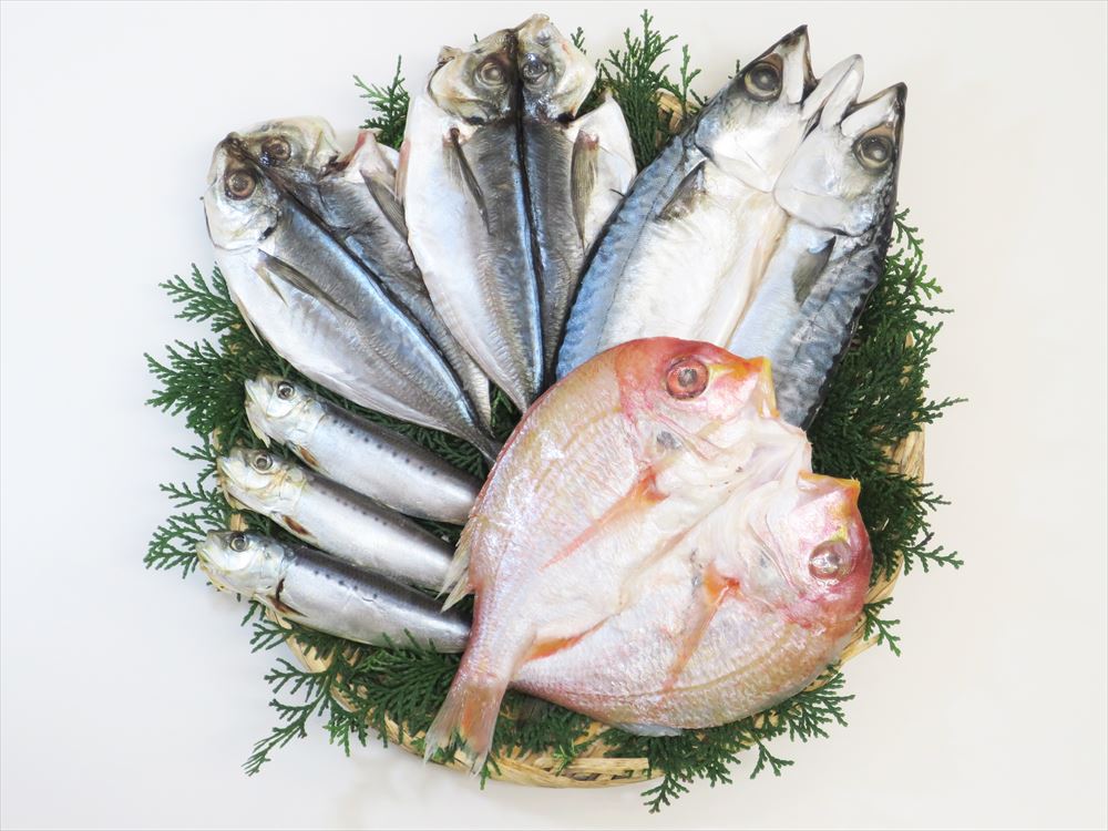 九州一夜干し4種セット れんこ鯛130g×1 真サバ160g×1 真あじ90g×2 真いわし30g×3 海産品 冷凍30日 熨斗対応 送料無料 ギフト 贈答 記念日 産地直送 プレゼント 内祝い