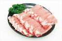 ≪お中元≫宮崎 SPF日南もち豚 ローススライス 400g 精肉 宮崎県 冷凍90日 熨斗対応 送料無料 ギフト 贈答 記念日 産地直送 プレゼント 内祝い