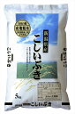 ＼母の日／新潟 雪蔵仕込 こしいぶき 5kg 米 新潟県 常温 熨斗対応 送料無料 ギフト 贈答 記念日 産地直送 プレゼント 内祝い