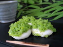 ≪お中元≫山形銀山温泉 「明友庵」 ずんだん餅 5個入(250g)×2 和スイーツ 山形県 冷凍90日 熨斗対応 送料無料 ギフト 贈答 記念日 産地直送 プレゼント 内祝い