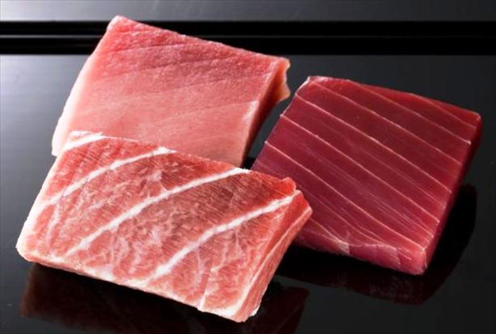 神奈川 「三浦三崎」本まぐろ 大トロ100g×1 中トロ100g×1 赤身100g×1 海産品 神奈川県 冷凍10日 熨斗対応 送料無料 ギフト 贈答 記念日 産地直送 プレゼント 内祝い
