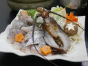 【母の日】徳島 「吟月」 天然伊勢海老と鯛の祝い鍋 生伊勢海老1尾(120g) 鯛(切身・アラ)400g うどん100g×2 出し汁250ml ※3〜4人前 鍋...