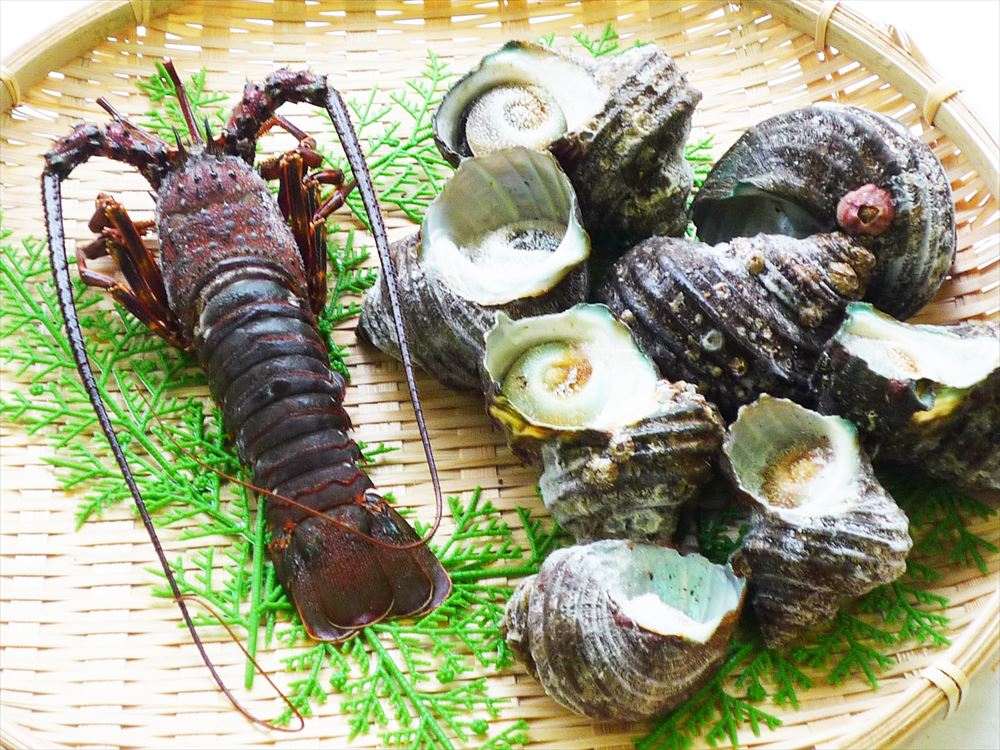 【母の日】徳島 天然伊勢海老と天然サザエ詰合せ 伊勢海老1尾（120g〜150g） サザエ1kg 海産品 徳島県 冷凍90日 熨斗対応 送料無料 ギフト 贈答 記念日 産地直送 プレゼント 内祝い