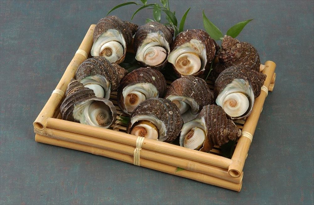 【母の日】徳島 天然伊勢海老と天然サザエ詰合せ 伊勢海老1尾（120g〜150g） サザエ1kg 海産品 徳島県 冷凍90日 熨斗対応 送料無料 ギフト 贈答 記念日 産地直送 プレゼント 内祝い
