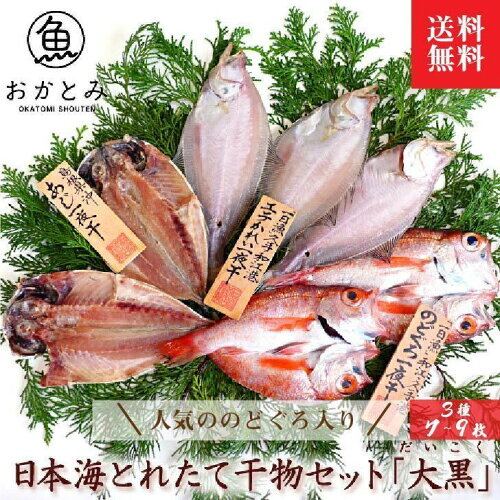 お手頃価格のきちんとギフト干物好きのあの方へ『旬獲れ』の塩のみ無...