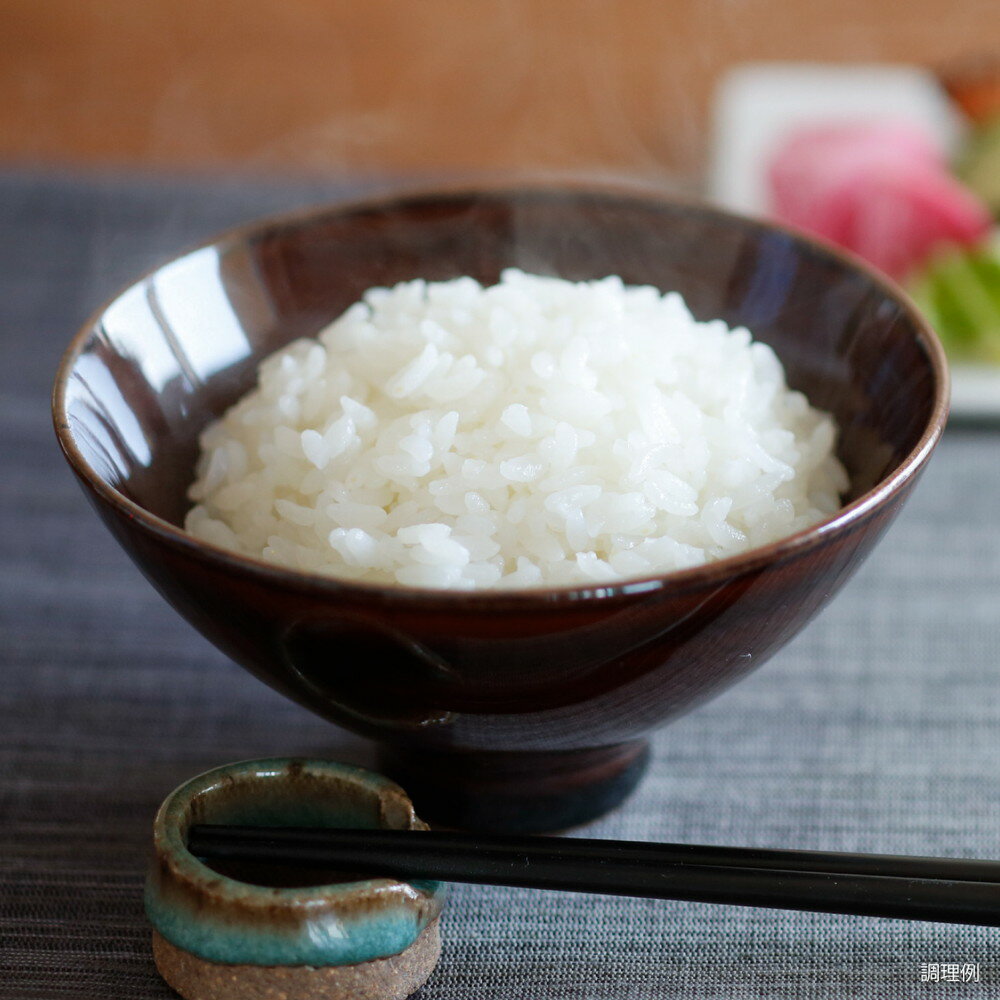 糖質0gぷるんちゃん カロリーダイエット粒10袋セット 100g×10 プレゼント ギフト 贈り物 贈答 記念日 人気 熨斗対応 名入れ 送料無料 産地直送