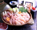 【母の日】玄海産ふぐちり鍋 しろさばふぐ300g、とらふぐひれ3枚、鍋つゆ60g、ぽん酢150ml、もみじおろし16gx1 鍋 プレゼント ギフト 贈り物 贈答...