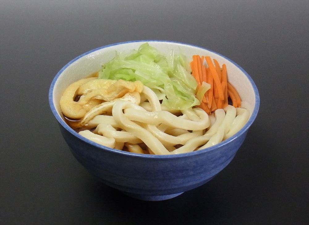 ＼父の日／山梨 創業明治35年「平井屋」 吉田のうどん 吉田のうどん天然だし付(2人前）×5 麺類 山梨県 プレゼント ギフト 贈り物 贈答 記念日 人気 熨斗対応 名入れ 送料無料 産地直送 内祝い