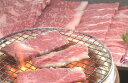 ≪お中元≫佐賀牛 焼きしゃぶ&焼肉セット プレゼント ギフト 贈り物 贈答 記念日 人気 内祝 熨斗対応 名入れ 送料無料 産地直送