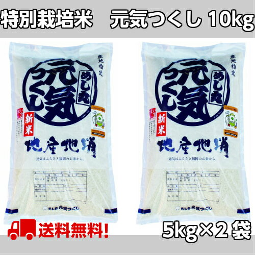 JAふくおか嘉穂産　特別栽培米　元気つくし10kg（5kg×2袋）★減農薬・減化学肥料栽培米