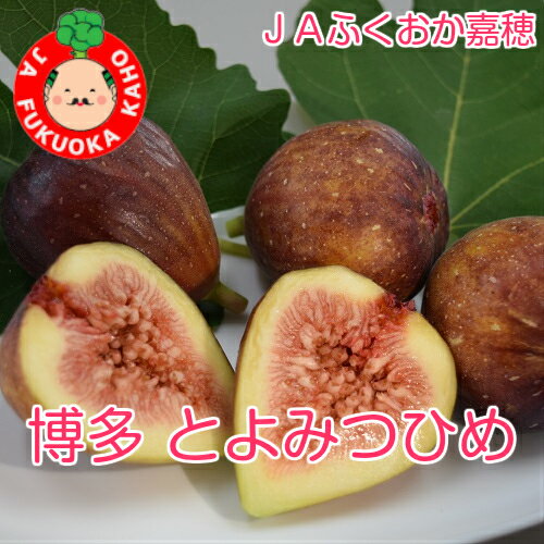 福岡県産　JAふくおか嘉穂 いちじく「博多とよみつひめ」300g×4P