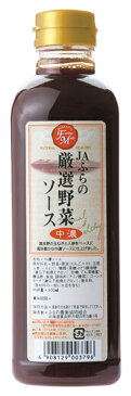 厳選野菜ソース中濃　500ml　10本入り