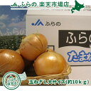 送料無料!!JAふらの　たまねぎ【L大サイズ・約10kg】 1