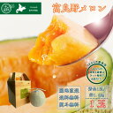 【数量限定】 【送料無料】 【JAふらの直営店】 富良野メロン 秀品 1玉入り 約1.6kg (約1.6kg × 1玉) 赤肉 ギフト プレゼント お中元 御中...