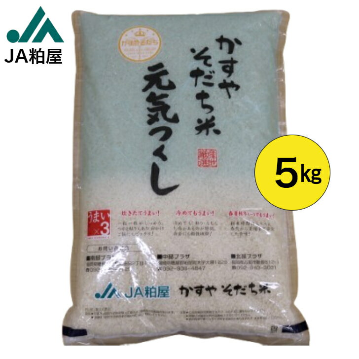 楽天市場】くず米(生産国日本)(米・雑穀|食品)の通販 楽天市場】くず米(生産国日本)(米・雑穀|食品)の通販