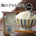 【令和3年産】北海道北竜町産　農薬節減米　風の子もち　玄米　30kg　【送料無料】　お米　米　北海道産