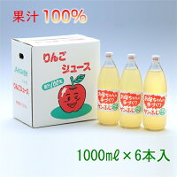 【JAみなみ信州】お母ちゃんの手づくりりんごジュース【1000ml/6本入り】
