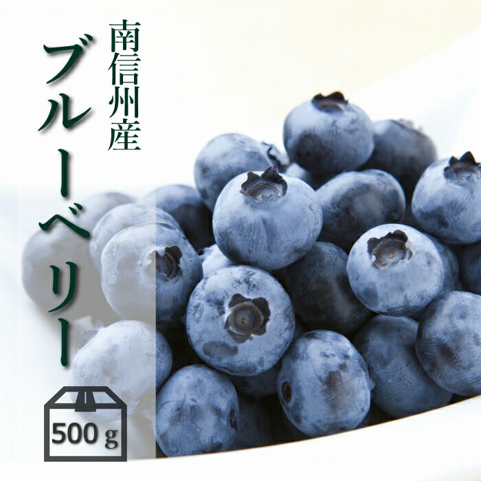 【長野県 JAみなみ信州】大粒ブルーベリー 500g 100gパック 5 R010 冷蔵 6月下旬～発送予定 国産 大粒 大きい 大きめ 生 ブルーベリー フルーツ 果物 くだもの 美味しい 季節の果物 旬の果物 …