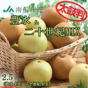 梨 豊水 & 二十世紀MIX 【太鼓判】中玉 約2.5kg(8玉) R261 ※9月上旬~発送予定 なし ナシ 豊水梨 フルーツ くだもの 果物 高級フルーツ 食べ比べセット ギフト 食べ比べ 高級 美味しい おいしい お取り寄せ プレゼント 贈り物 お祝い 敬老の日 JAみなみ信州 長野