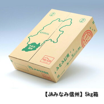 【長野県 JAみなみ信州】 りんご シナノスイート【秀品】約5kg(12〜16玉) R313※10月中旬〜発送予定 林檎 リンゴ 5kg フルーツ 果物 信州 ギフト 長野 お取り寄せ 贈答用 贈り物