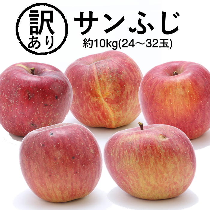 りんご 訳ありサンふじ　約10kg(24〜32玉) R336 ※11月下旬～発送 訳あり 訳アリ リンゴ わけあり 林檎 10キロ 訳あり品 サンフジ フルーツ くだもの 旬の果物 旬のフルーツ 旬の味覚 大容量 果物 美味しい おいしい 国産 お取り寄せ プレゼント 贈り物