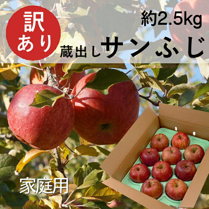 訳あり りんご 蔵出しサンふじ【家庭用】約2.5kg(6～10玉) R361a 訳ありりんご 訳ありリンゴ わけありりんご 訳ありりんご送料無料 リンゴ ふじ 長野 林檎 美味しいりんご 果物 家庭用 サンフジ さんふじ サンふじりんご ふじりんご ふじリンゴ わけあり食品 送料無料