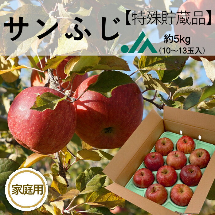 りんご サンふじ【家庭用】（特殊貯蔵品）約5kg(10～13玉) R362 リンゴ ふじ 長野 林檎 さんふじ サンフジ サンふじりんご フルーツ くだもの 甘い 高級 美味しい おいしい 国産 高級フルーツ お取り寄せ プレゼント お土産 手土産 おいしいりんご 5kg 5キロ 送料無料