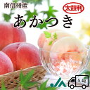 桃 あかつき【太鼓判】約 5kg (12~16玉) R103(冷蔵)※7月下旬~発送予定 季節の果物 果物 フルーツ もも モモ 高級 旬 お中元 御中元 暑中見舞い 旬の果物 ギフト 内祝い 贈り物 贈答用 5キロ ギフト プレゼント 贈り物 夏 夏ギフト 甘い お取り寄せ 長野