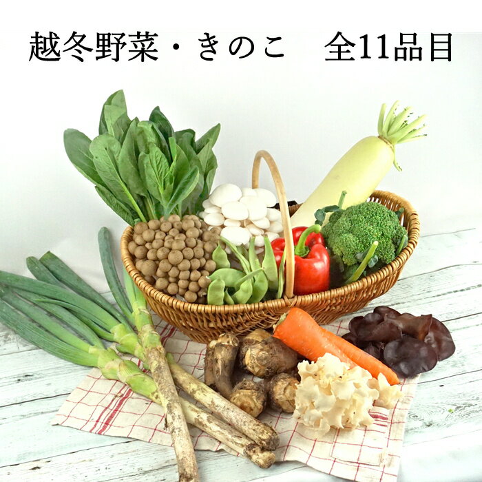 【長野県 JAみなみ信州】霜月野菜直送便 R704 野菜 旬 ギフト 内祝い 贈り物 贈答用 食べ比べ 野菜セット やさい お野菜 きのこ キノコ セット 詰め合わせ 贈り物 おいしい お任せ お取り寄せ おうちごはん 贈答品 プレゼント 仕送り 野菜詰め合わせ 送料無料のサムネイル