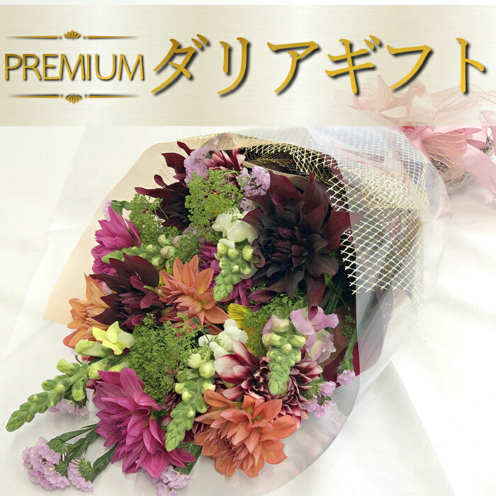プレミアムダリアギフト R719 花ギフト おしゃれ 女性 ダリア 花束 お花 ブーケ フラワーブーケ フラワーギフト ギフト お祝い 退職祝い お見舞い 内祝い 贈答用 アレンジ 花ギフト おしゃれ ギフト 可愛い プレゼント プロポーズ 誕生日 フラワーギフトホワイトデーのサムネイル