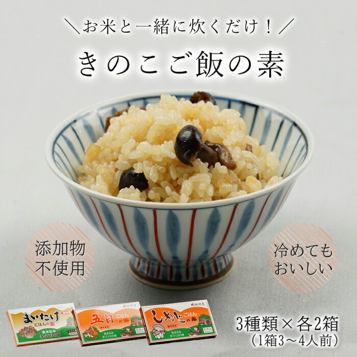 きのこご飯の素 3種 2 R921 送料無料 炊き込みご飯の素 簡単 国産 おうちごはん 食品 お取り寄せ 南信州 美味しい おいしい ぶなしめじ まいたけ 舞茸 五目ごはん 無添加 長野 ご当地 入れるだ…