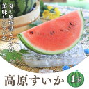 高原すいか A等級 2L(約7kg)1玉入 R709 ※7月下旬~発送予定 すいか 美味しい 甘い 果物 くだもの フルーツ 御中元 お中元 ギフト お見舞い 退院祝い 暑中見舞い 夏ギフト フルーツギフト 果物 旬の果物 プレゼント 贈り物 大きい 大きめ
