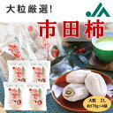 大粒厳選市田柿 680g(5〜6粒入×4袋) R408 送料無料 干柿 ほしがき ほし柿 市田柿 産地直送 御歳暮 お歳暮 御年賀 お年賀 大粒 国産ドライフルーツ ドライフルーツ 柿 甘い 高級 大容量 長野県産 自宅用 国産 ギフト プレゼント 高齢者 お返し お礼 贈り物 GI認証 大粒