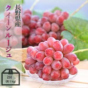 【長野のぶどう】長野県産の美味しいブドウをお取り寄せしたい。おすすめは？