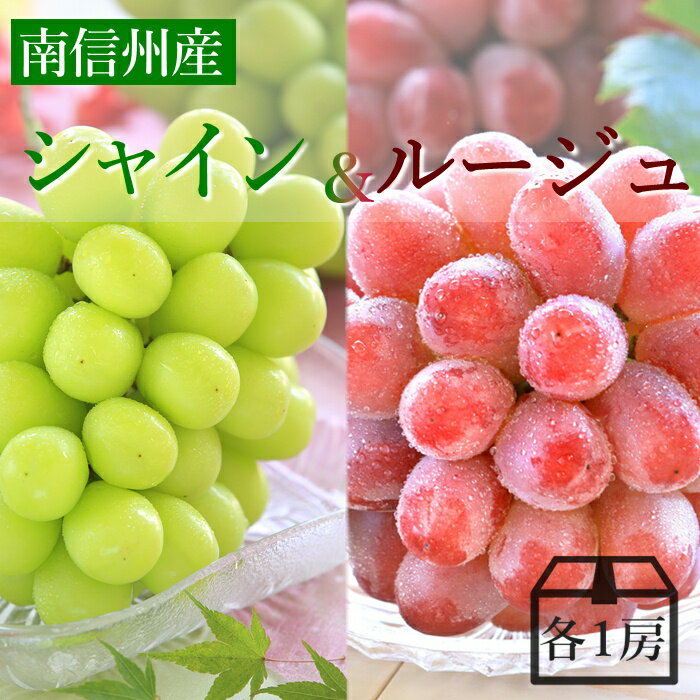 ぶどう シャインマスカット＆クイーンルージュMIX 約1.2kg (各1房) R024(冷蔵) ※9月中旬～発送 送料無料 皮ごと食べられる マスカット セット おいしい 種無し ブドウ 葡萄 果物 フルーツ 長野 国産 大粒 種なし ギフト 内祝い お祝い 贈り物 贈答用 JAみなみ信州 産地直送