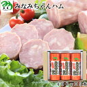 南信州産豚肉100% みなみちゃんハム 400g 3本 信州ハム R601 冷蔵 春 ハムセット ギフト ポークハム 国産 豚肉 おいしい 低温熟成 お取り寄せ ご当地グルメ 肉 お祝い 美味しい プレゼント ギ…