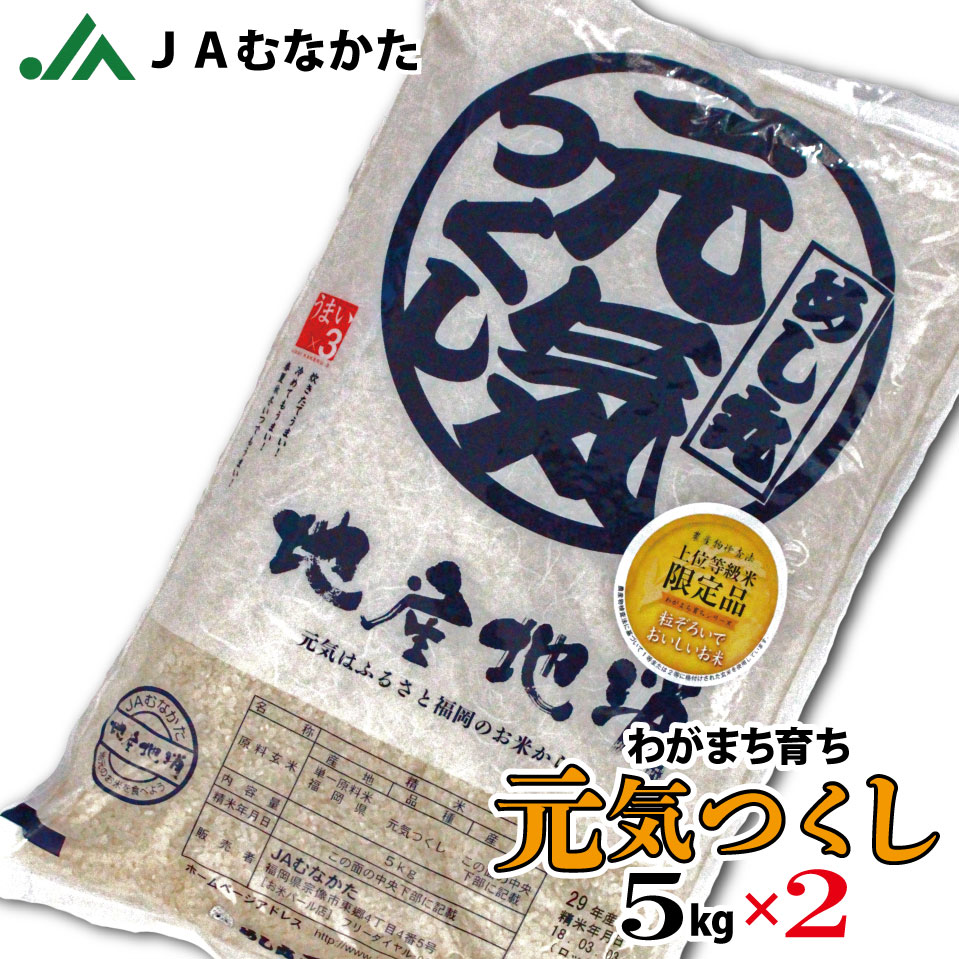 【送料無料】JAむなかたわがまち育ち「元気つくし」5kg×2 JAむなかた直送 お米 白米 ごはん 10kg