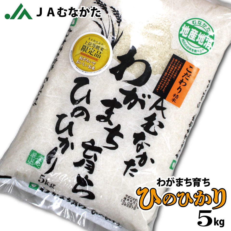 【送料無料】JAむなかたわがまち育ち「ひのひかり」5kg 福岡県産 JAむなかた直送...