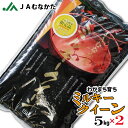 【送料無料】JAむなかたわがまち育ち「ミルキークイーン」5kg×2 JAむなかた直送 お米 白米 ごはん 10kg