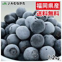 【送料無料】※一部離島は対象外 急速冷凍!農薬不使用ブルーベリー1.2kg(600g×2) 果物 フルーツ ジャム ジュース スムージー 冷凍ブルーベリー