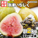 【送料無料】真空冷凍いちじくセット（計2kg）福岡県産とよみつひめ 九州産 無花果 いちぢく イチジク イチヂク 加工用 おうち時間 ジャム コンポート 冷凍果物 冷凍フルーツ フルーツ大福