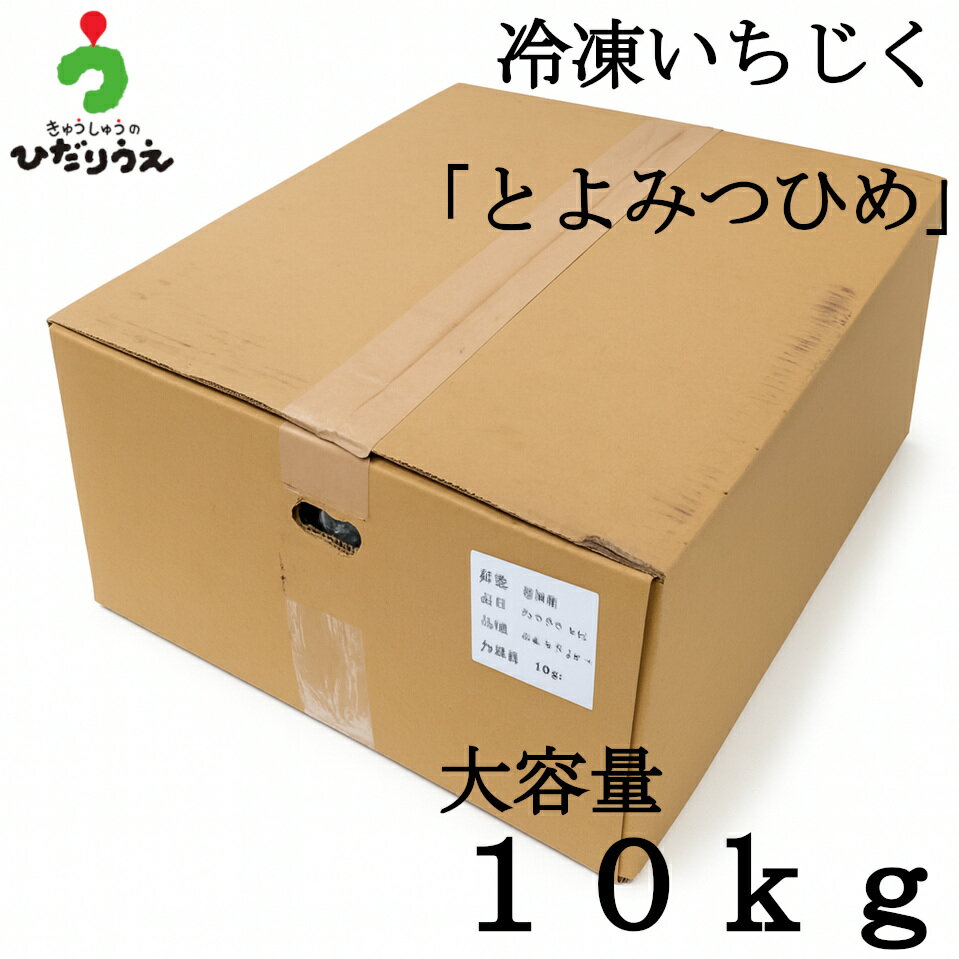 【送料無料】【大容量】訳あり冷凍いちじくセット10kg　福岡県産とよみつひめ 九州産 無花果 いちぢく ..
